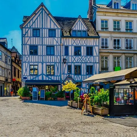 Daire Confortable Et Elegant En Centre Rouen
