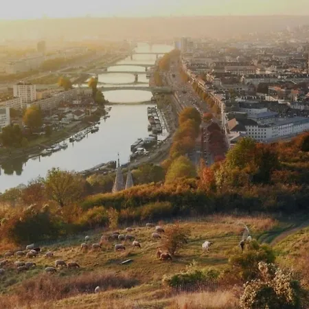 Апартаменти Confortable Et Elegant En Centre